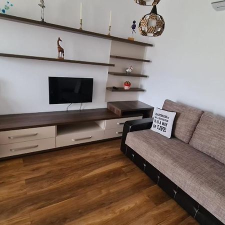 Апартаменты Apartament Mirubias Брашов Экстерьер фото