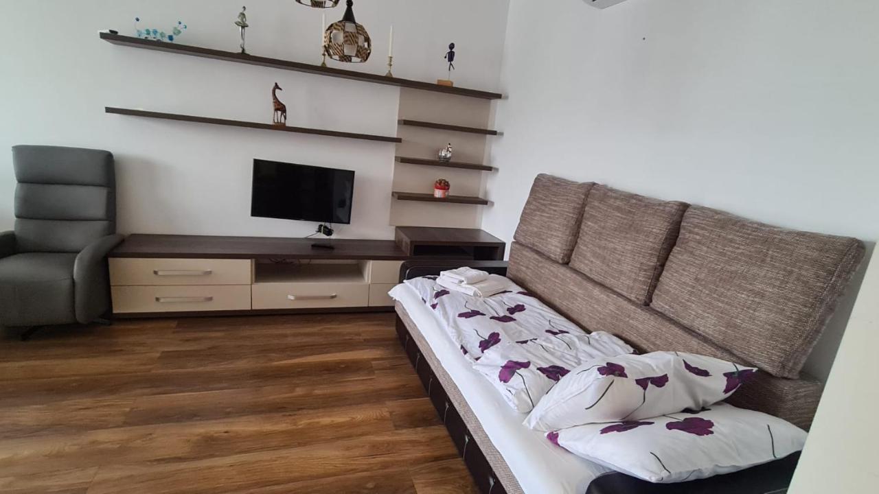 Апартаменты Apartament Mirubias Брашов Экстерьер фото